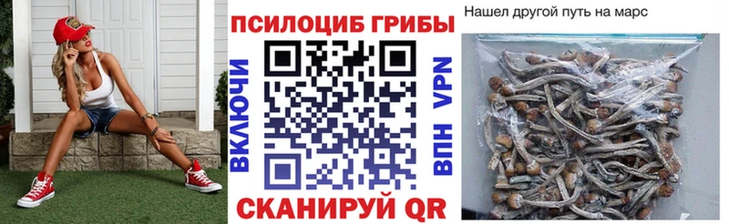 Галлюциногенные грибы Cubensis  продажа наркотиков  Тавда 