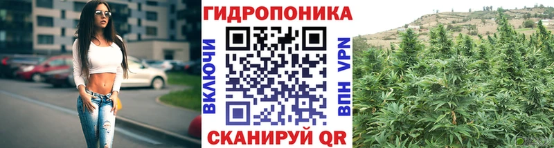 продажа наркотиков  Тавда  Канабис планчик 